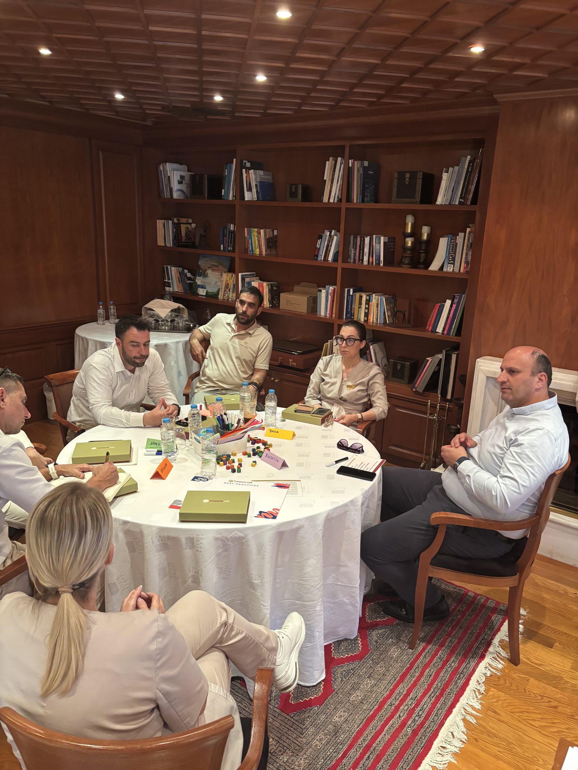 Mitsis Galini workshop