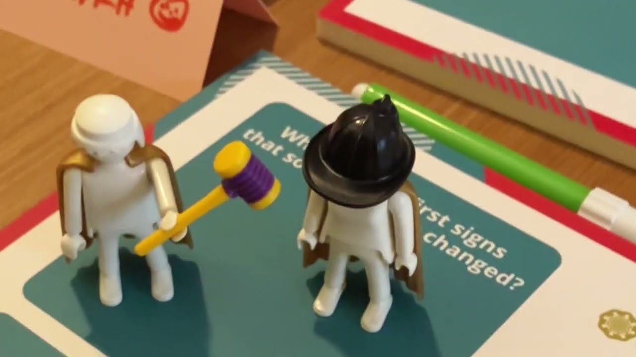 Reflections from Our Recent Workshop - Unlocking Personal Vision Through Playmobil & Peer Coaching